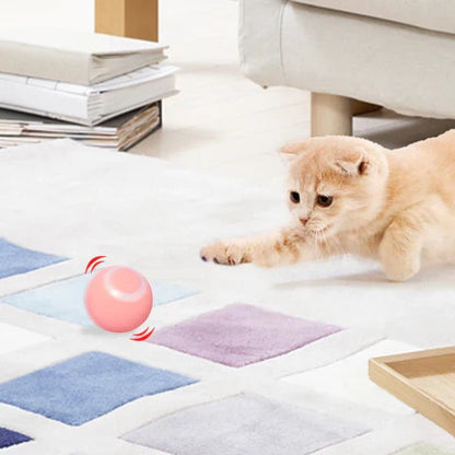 Rechargeable Automatic Rolling Pet Ball