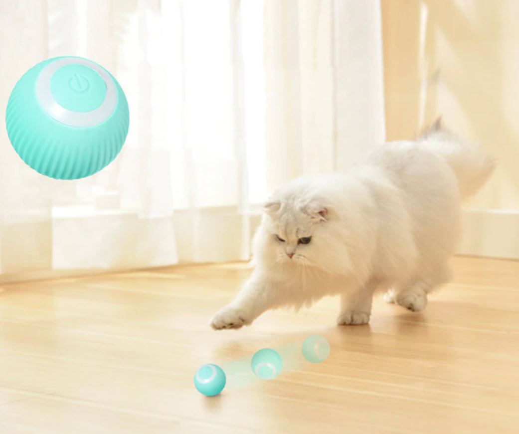 Rechargeable Automatic Rolling Pet Ball