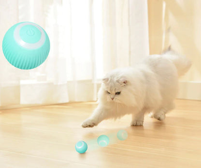 Rechargeable Automatic Rolling Pet Ball