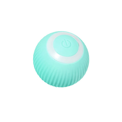 Rechargeable Automatic Rolling Pet Ball