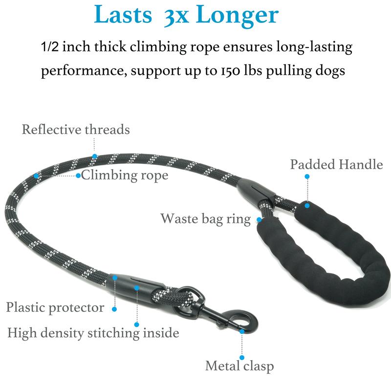 Double Dog Leash with Bungee Coupler 31 Inch Rope