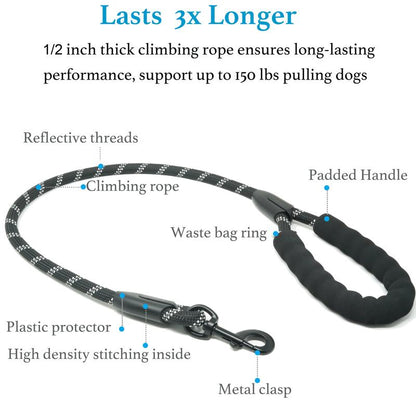 Double Dog Leash with Bungee Coupler 31 Inch Rope