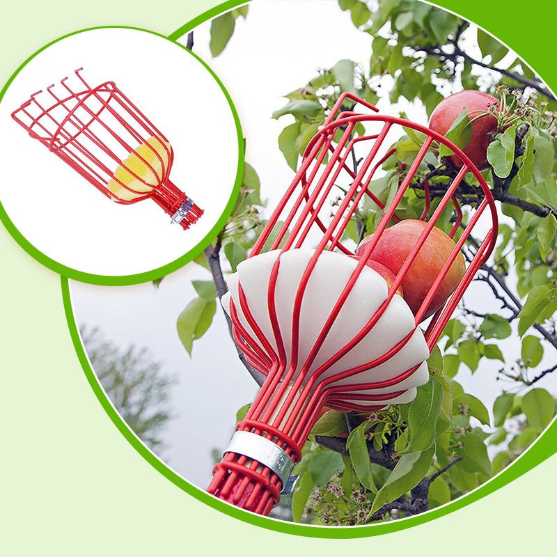 Fruit Picker Basket Head 13.6 x 5.7 Inch Iron Wire Set of 2