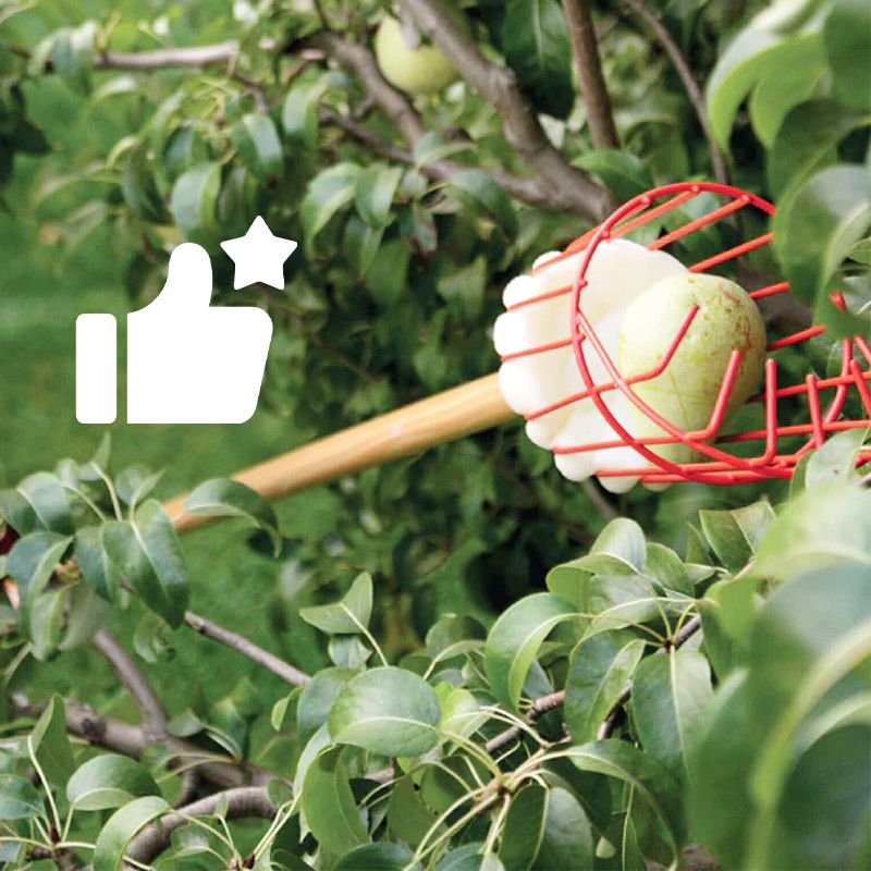 Fruit Picker Basket Head 13.6 x 5.7 Inch Iron Wire Set of 2