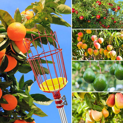 Fruit Picker Basket Head 13.6 x 5.7 Inch Iron Wire Set of 2