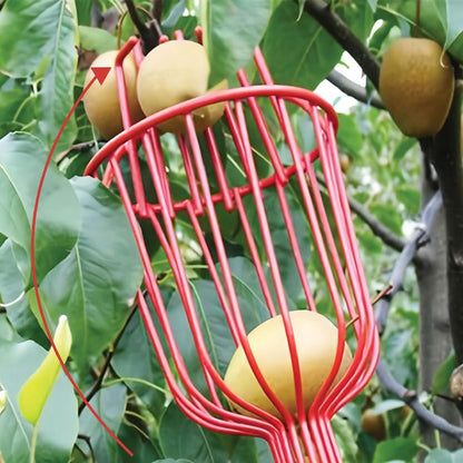 Fruit Picker Basket Head 13.6 x 5.7 Inch Iron Wire Set of 2
