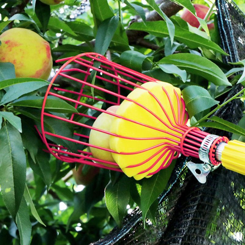 Fruit Picker Basket Head 13.6 x 5.7 Inch Iron Wire Set of 2