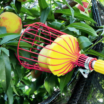 Fruit Picker Basket Head 13.6 x 5.7 Inch Iron Wire Set of 2