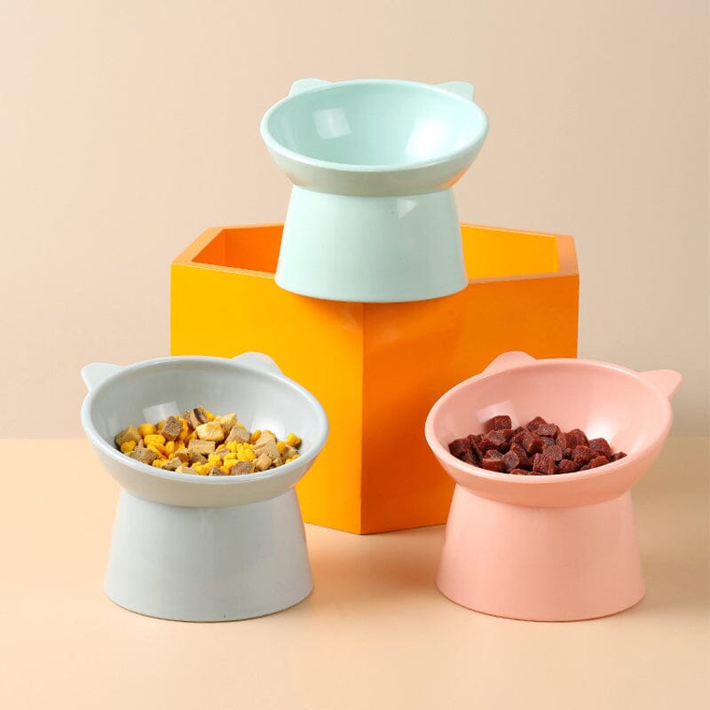 Raised Tilted Cat Bowl 5.3 in Plastic Set of 3
